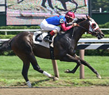 A One Rocket Flying Down the Saratoga Stretch