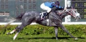 Another M375 Winner
