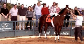 Storm Captain: Everybody Loves A Galloping Winner!
