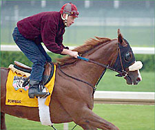Pacific Classic Winner Borrego