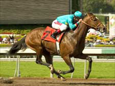 Brother Derek Wins Santa Catalina