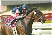 Chatlos Charge Singletary