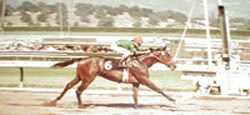 Eddie D. Pilots Bronze Parade To The Authorâ€™s First Lifetime Training Victory