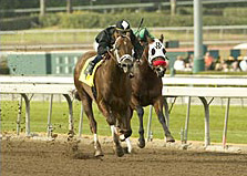 Friendly Island Breezes Past Limited Creole At Santa Anita