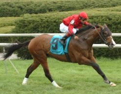 Gun Saluteâ€™s Forerunner Victory