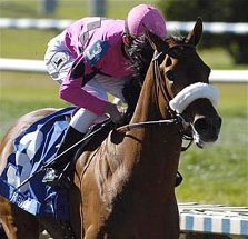 High Limitâ€™s Louisiana Derby (G2)