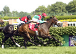 Ipi Tombeâ€™s U.S. Debut