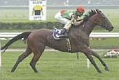 Mariensky at Belmont