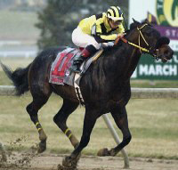 Sinister G - Paul Toscano Up