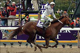 Stevie Wonderboy Winning BC Juvenile
