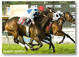Super Strut under Tyler Baze