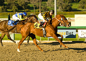 Golden Doc A winning the Las Virgenes (G3)