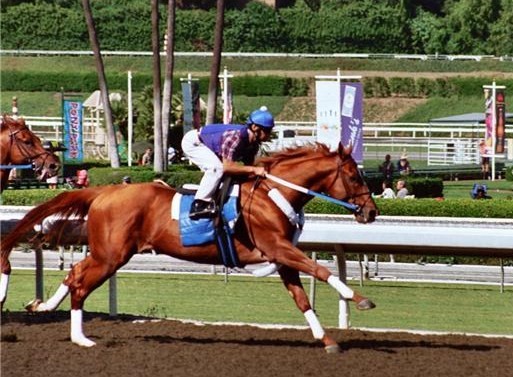 Curlin