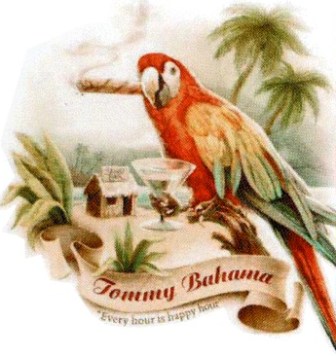 Tommy Bahama T Shirt