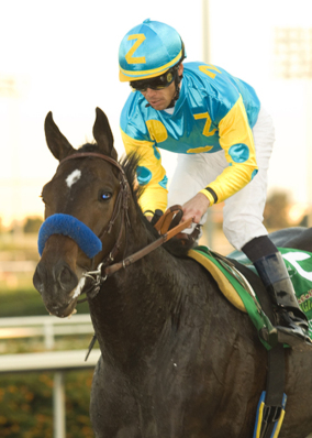 Pioneerof the Nile