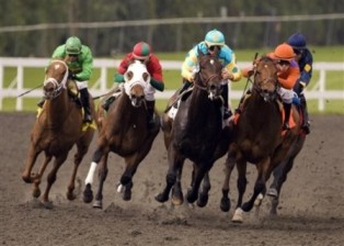 pioneerof-the-nile2.jpg