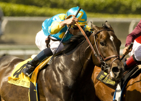 Pioneerof the Nile