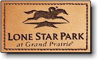Lone Star Logo