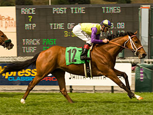 Battle of Hstings winning the La Puente at Santa Anita - Benoit Photo
