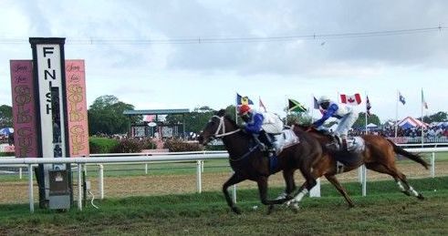 Daylight Express 2009 Gold Cup