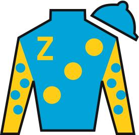 Zayat Silks