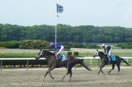 Bribon after winning the True North (G2) 142 Belmont Day