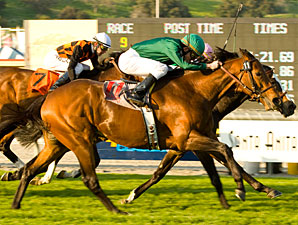 Gio Ponti Kilroe Mile - Benoit Photo