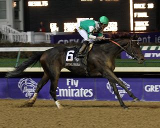Royal Delta