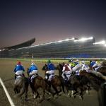 Meydan